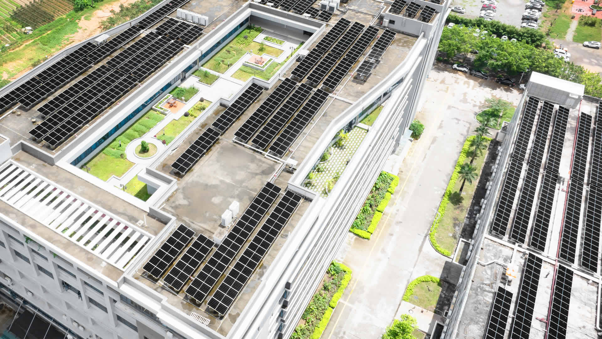 珠；；；；；诳萍及咐