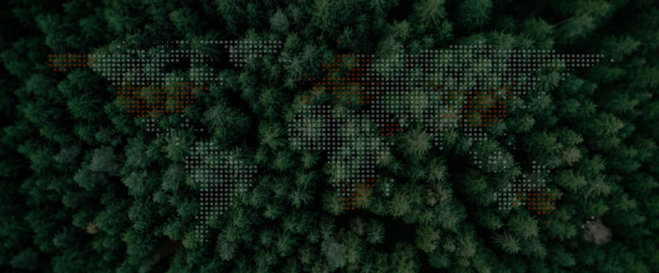 emc易倍全球零碳案例